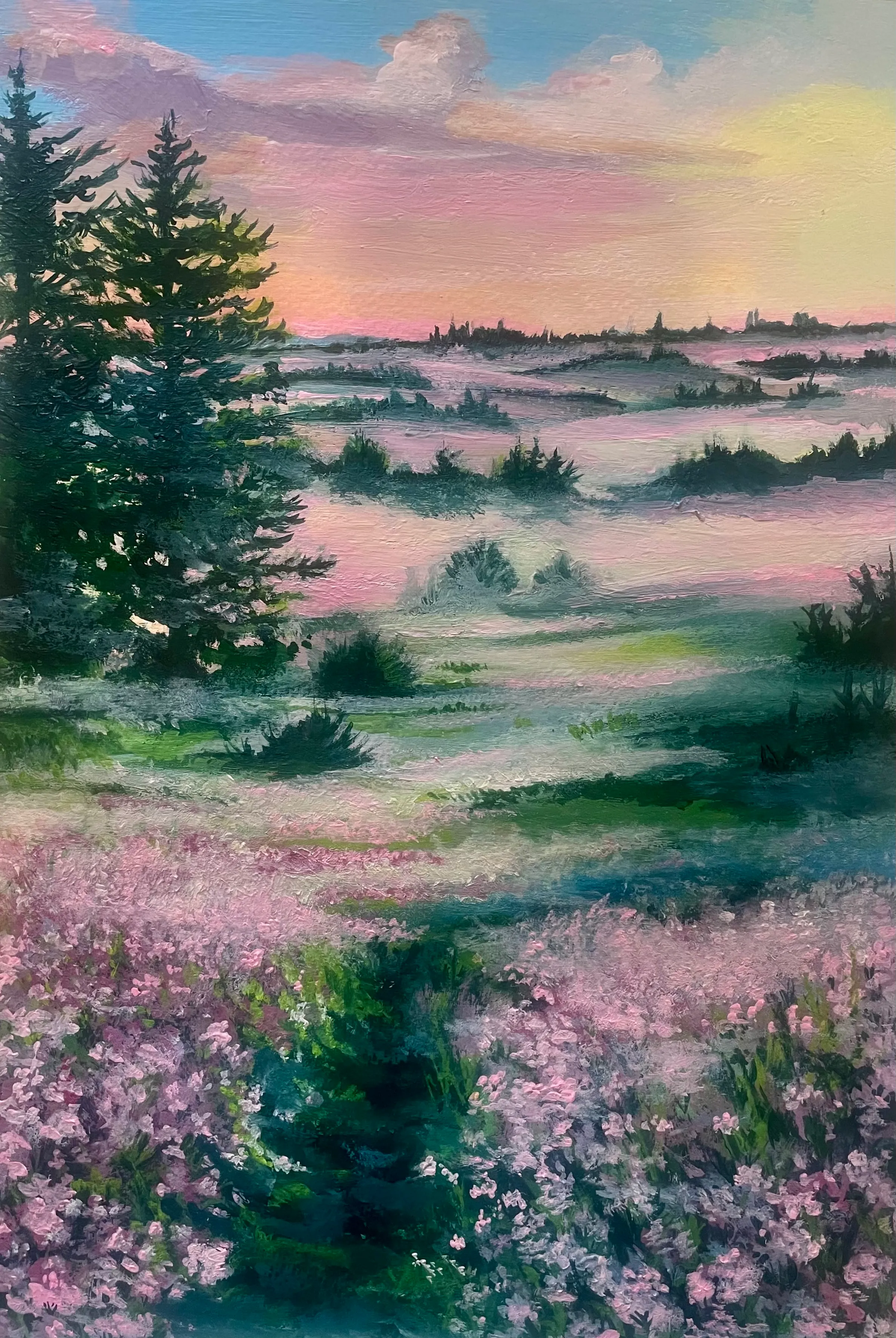 Pastel sunrise glowing over a misty field of pink flowers framed by dark evergreen trees.